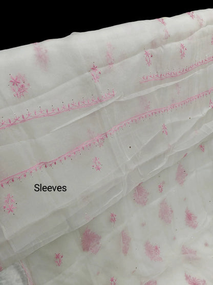 Chikankari Organza Suit with Mukesh Kamdani